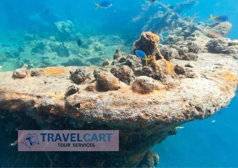 Coron Reef & Wrecks Tour - Lusong Coral Garden: Snorkel Playground for Marine Life