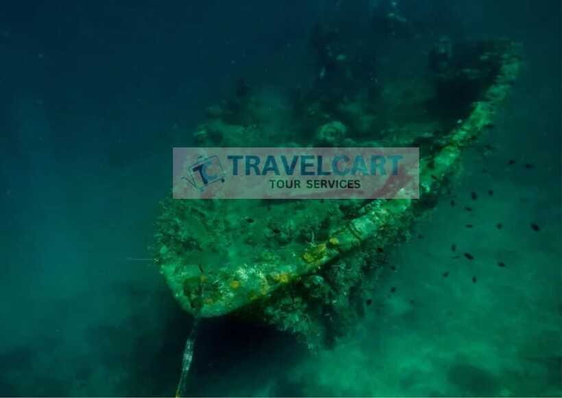 Coron Reef & Wrecks Tour - The Crew and Guide Experience: You’ll Want to Ask for Help Finding Life