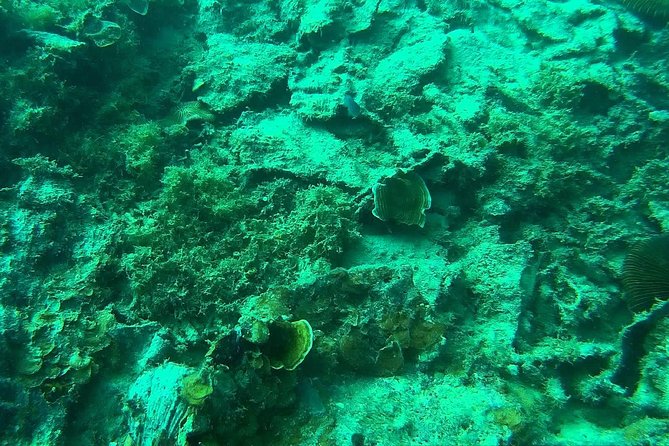 Coron Reefs & Wreck Tour (Shared Tour) - Why This Coron Reef and Wreck Tour Hits the Sweet Spot