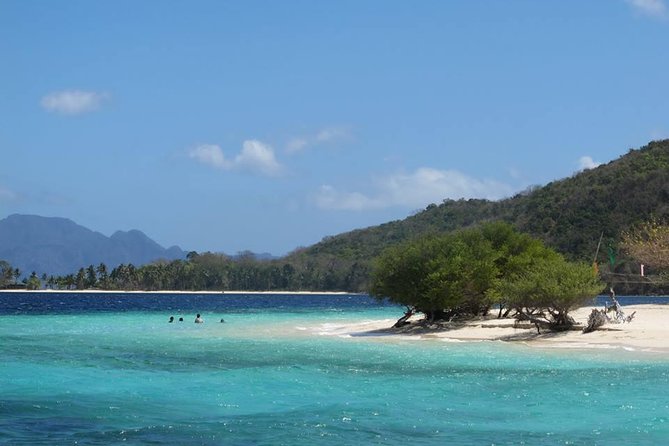 Coron Reefs & Wreck Tour (Shared Tour) - Price and What You Are Getting for $63