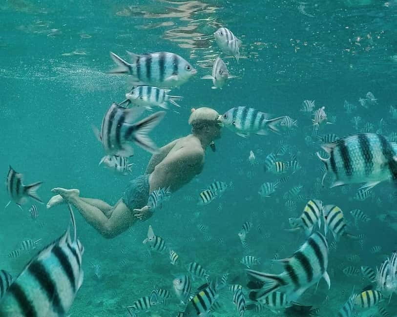 Coron: Super Ultimate 7 Destination with Lunch & Transfer - Money and rentals: what’s included, what you might pay for