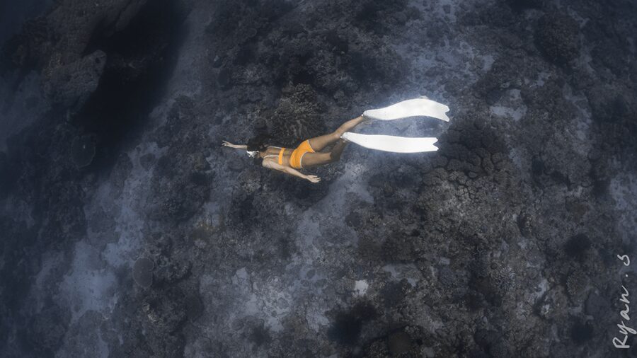 Discover Freediving in Boracay - Price and value: why $57 can make sense here