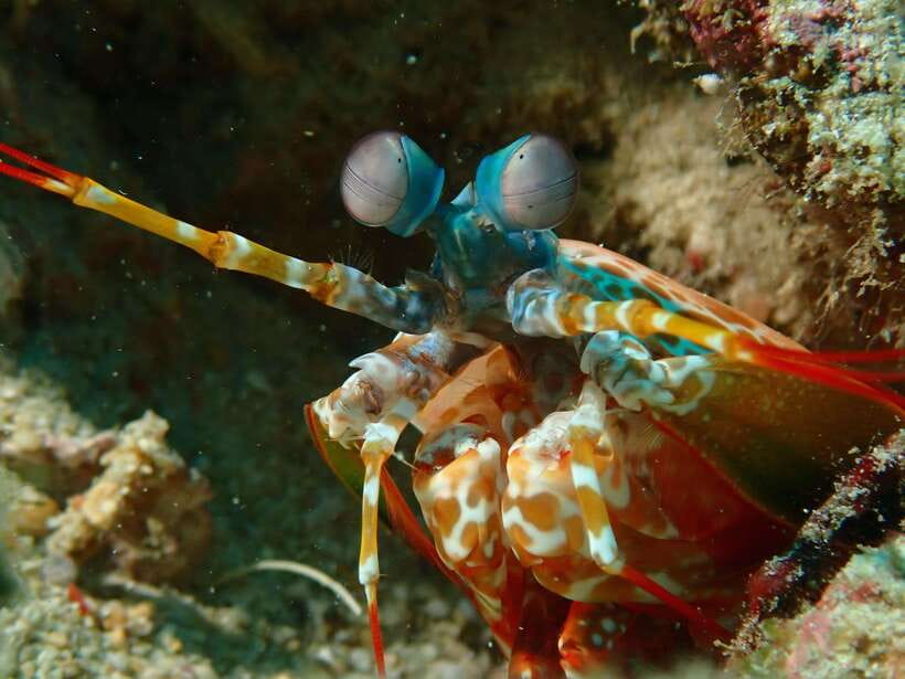 Discover Scuba Diving in Boracay - Who this course fits best in Boracay