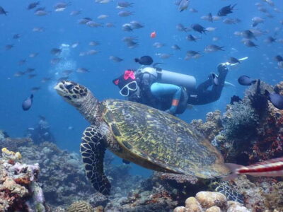 Discover Scuba Diving in Boracay