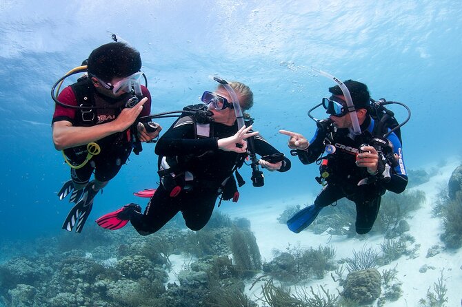 Discover Scuba Diving in Boracay with U/W Photo and Video - Where the Experience Starts: Astoria Boracay to Your First Gear Check