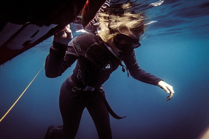 Discovery Freediving Program - Photos, video, and the value of reviewing your session