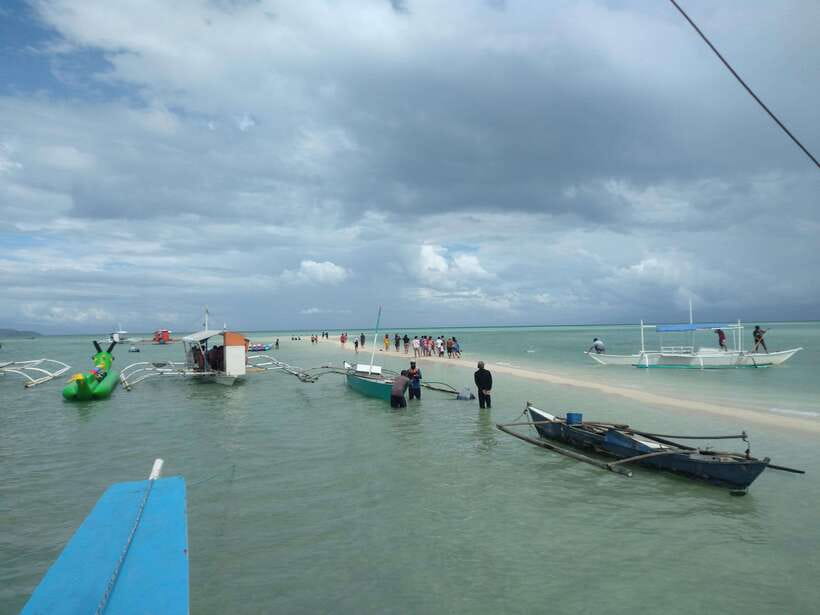 Dumaguete: Dolphin Watching & Manjuyod Sandbar Private Tour - The Best Fit: Who This Tour Suits