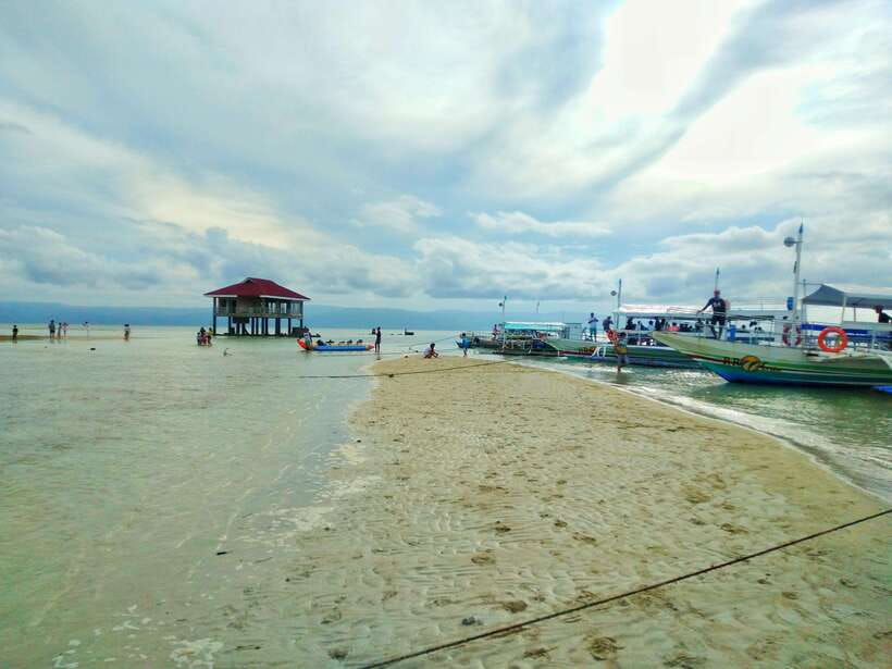 Dumaguete: Dolphin Watching & Manjuyod Sandbar Private Tour - Guide and Communication: What to Expect With English and Tagalog
