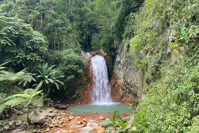 Dumaguete Tours in English - Key highlights you will feel immediately