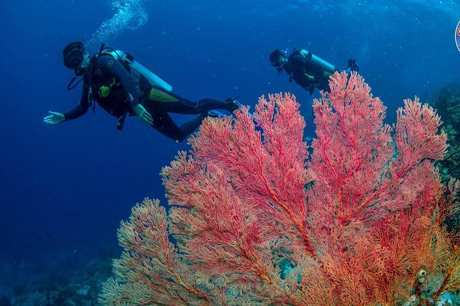 Easy Fun Scuba Dive in El Nido - Equipment included, plus what to bring for comfort