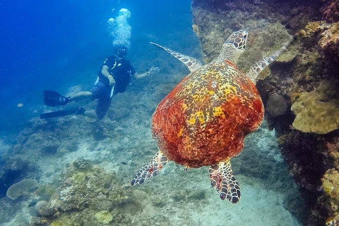 El Nido: 3 Days and 2 Nights - Weather Rules: Why Lagoon Plans Can Change Fast