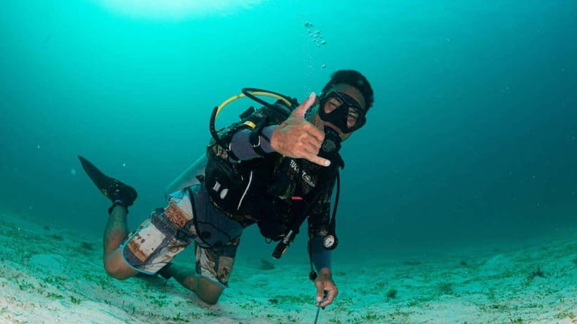 El Nido: Discover Scuba Diving with Manta Rays in Sibaltan - Who this Sibaltan manta session is best for