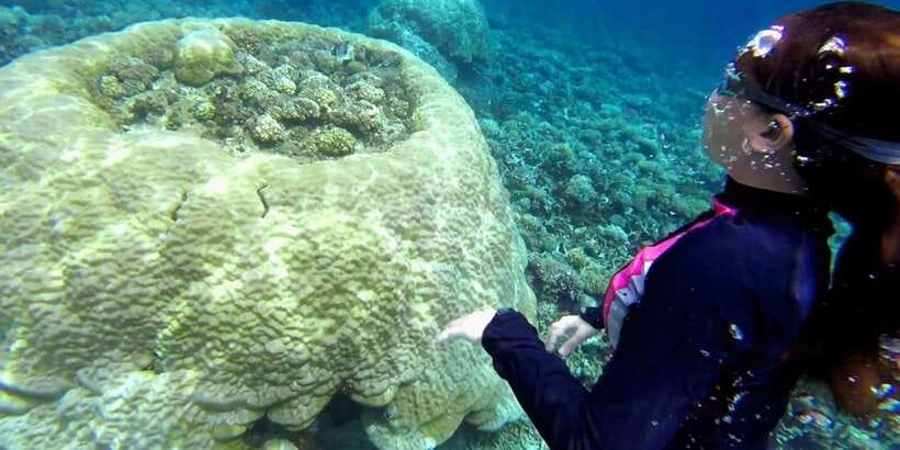 El Nido: Island Hopping Tour B Cudognong Cave & More - Guides and lunch: the part you do not want to guess about