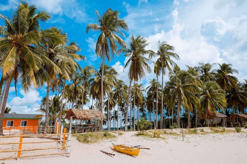 El Nido Island Hopping Tour C: Hidden Beaches & Shrine - Snorkeling and Marine Life: How to Judge the Day in Real Time