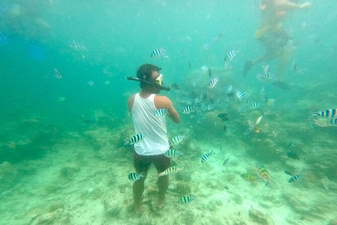 El Nido Palawan Zipline Two Way - Photos, phones, and optional add-ons