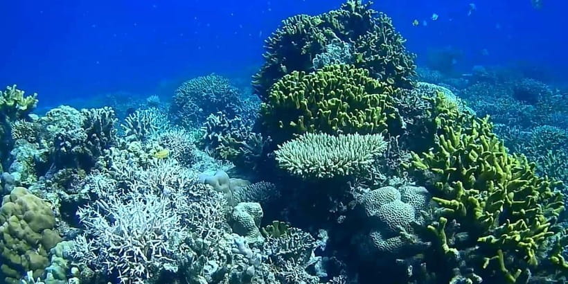 El Nido, Sibaltan: Private Snorkeling & Secret Islands Tour - What $52 really buys you, and when it becomes a steal