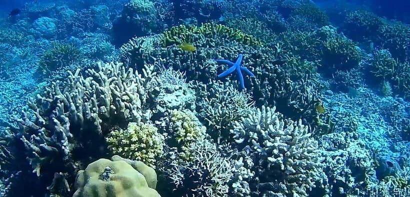 El Nido, Sibaltan: Private Snorkeling & Secret Islands Tour - What to bring for comfort and reef-safe snorkeling