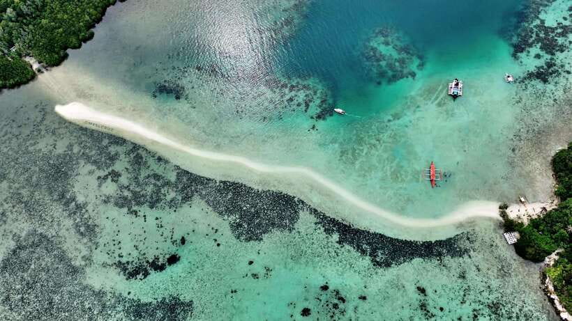 El Nido: Snake Island and Cave Tour with Island Lunch - Price and logistics: what $41 really covers