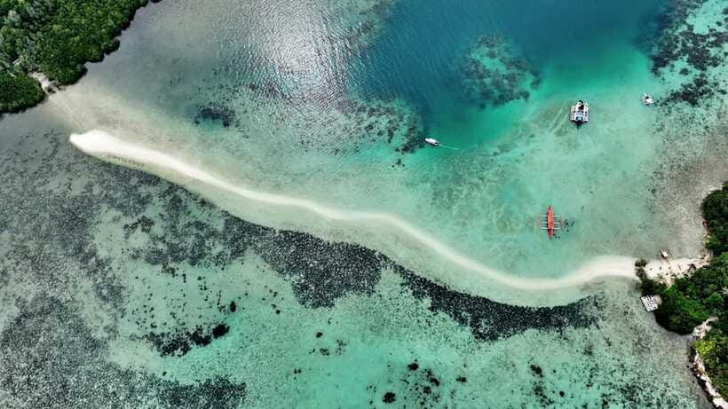 El Nido: Snake Island and Cave Tour with Island Lunch - The real deal on organization and meeting points