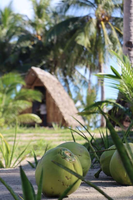 El Nido to Coron: 3-Day 2-Night Island-Hopping Expedition - Price and what to budget: $339 plus local environmental fees