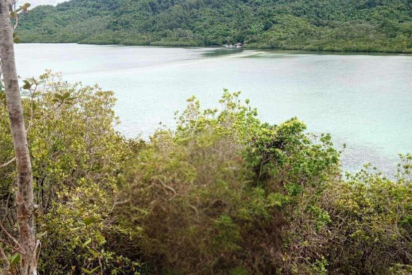 El Nido: Tour B with Snake Island, Cudugnon Cave, and More - Key highlights worth timing your day for