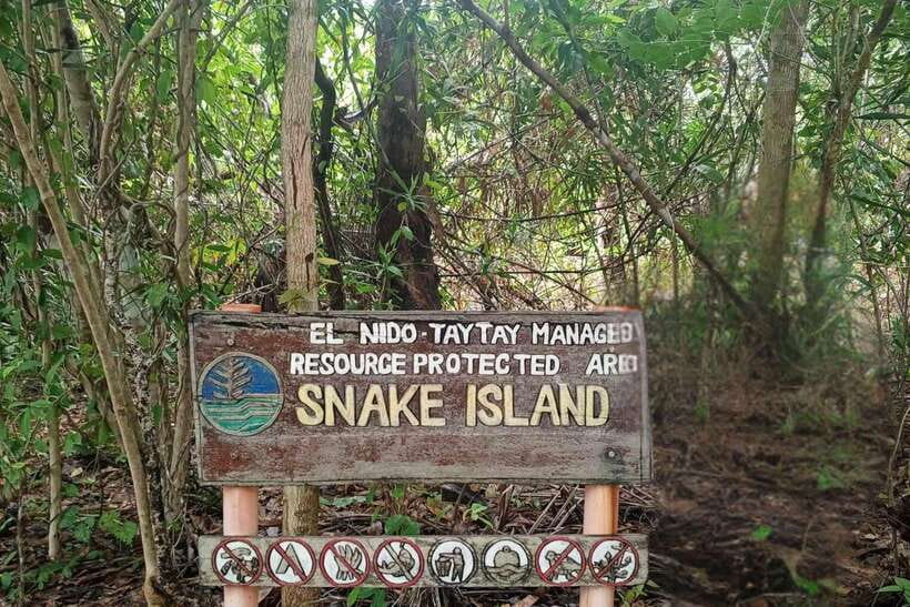 El Nido: Tour B with Snake Island, Cudugnon Cave, and More - Snake Island sandbar: the short guided stop with the biggest payoff