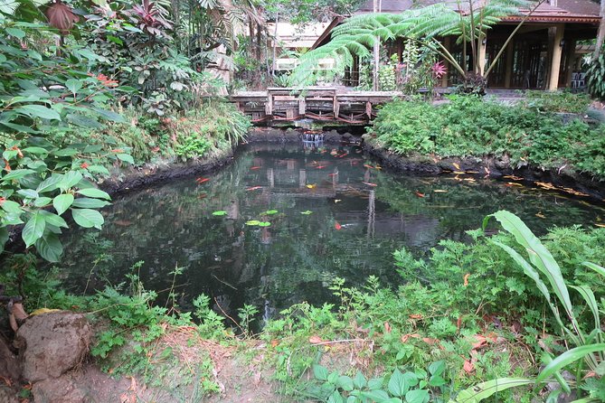 Escape to Enchanting Hidden Valley Springs! with Transfers*** - What to Pack for Hidden Valley Springs