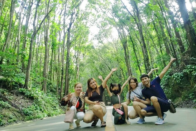 Exclusive Bohol,Philippines Chocolate Hills-Tarsier Tour - Chocolate Hills Natural Monument: the 360 view and best ways to use your time