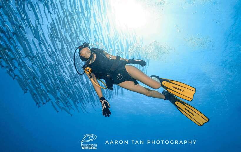 Fisheye Divers: Discover Scuba Diving - PADI 5-Star DSD in Boracay: the point of this whole setup