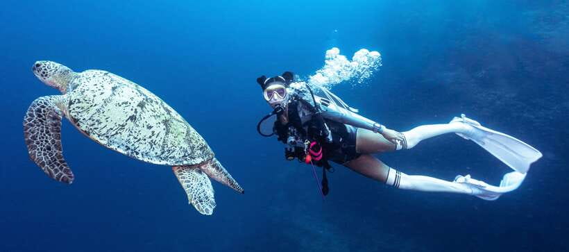 Fisheye Divers: Discover Scuba Diving - Classroom briefing that sets you up for success
