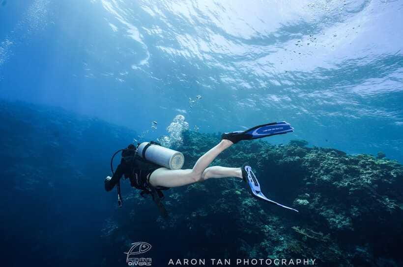 Fisheye Divers: Discover Scuba Diving - Shallow-water skills: the practical checklist you’ll be glad you did