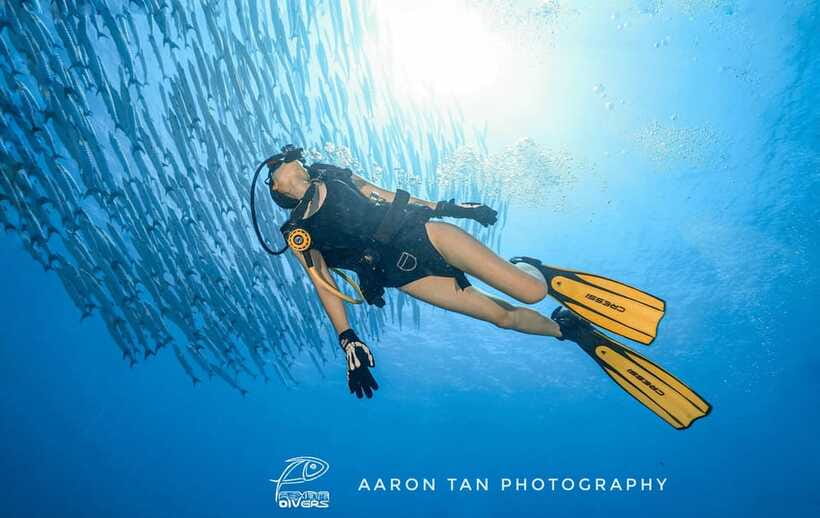 Fisheye Divers: Discover Scuba Diving - Boat out to the coral garden: what the reef swim is like
