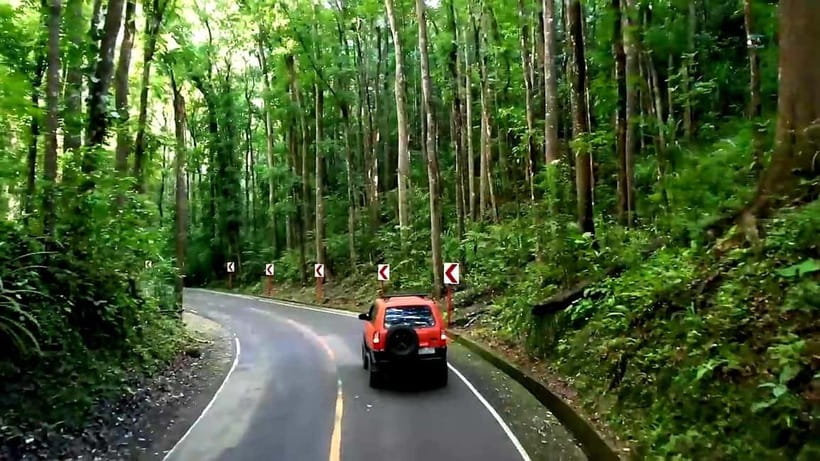 From Cebu: Bohol Countryside & Buffet Lunch Exclusive Tour - Chocolate Hills: the must-see stop and how to use your time