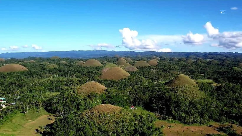 From Cebu: Bohol Countryside & Buffet Lunch Exclusive Tour - Loboc River floating restaurant buffet, with live Tinikling