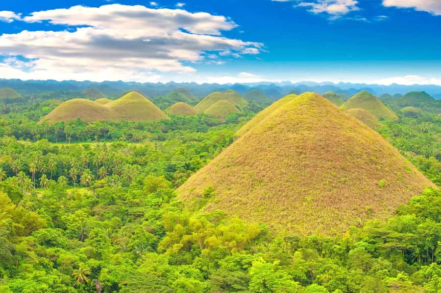 From Cebu: Bohol Countryside Private Tour with Buffet Lunch - Private pickup and the Cebu to Tubigon ferry rhythm