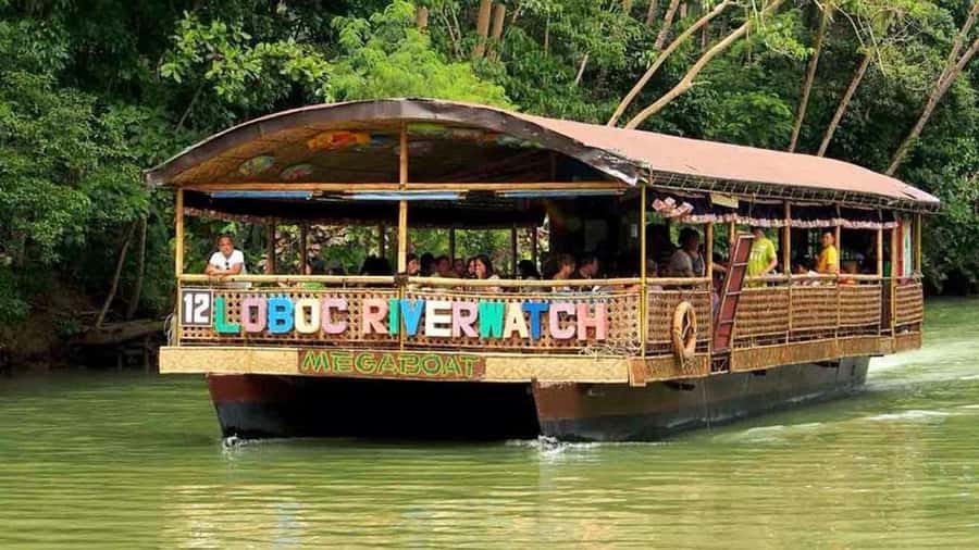 From Cebu: Bohol Countryside Private Tour with Buffet Lunch - Butterfly Farm and the Man-Made Forest: quick guided stops with a nature break