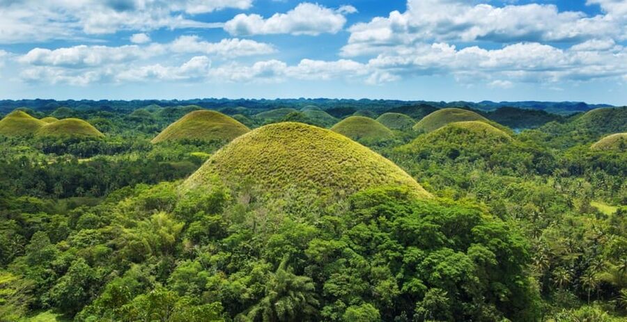 From Cebu City: Bohol Island Highlights in One Day - The Real Value: What $154 Covers (And Why It’s Not Just “Transport”)