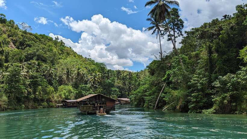 From Cebu City: Bohol Island Highlights in One Day - Tarsier Sanctuary: Tiny Wildlife, Big Mood