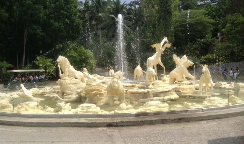 From Cebu City: Cebu Safari and Adventure Park Day Tour - Animal time: African Savanna and the White Lion Safari