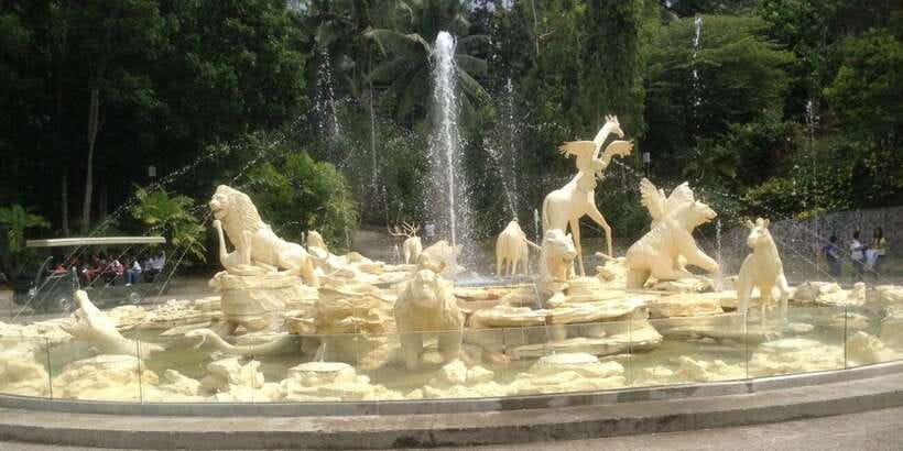 From Cebu City: Cebu Safari and Adventure Park Day Tour - Bird Show and bird viewing: a schedule you can actually use