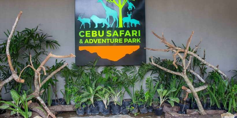 From Cebu City: Cebu Safari and Adventure Park Day Tour - Drivers, pickup, and the kind of day you get