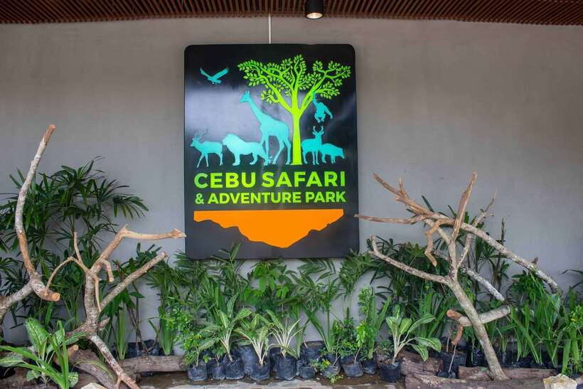 From Cebu City: Cebu Safari and Adventure Park Day Tour - How the 10 hours feel on the ground