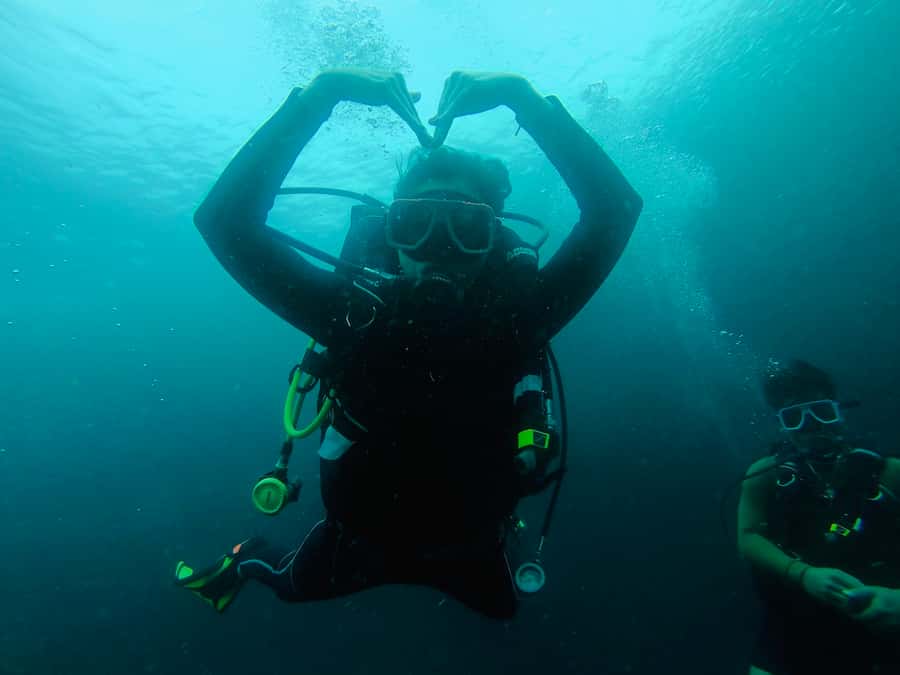 From Cebu City: Scuba Diving with Whale Sharks Trip in Oslob - Cebu to Oslob starts at 5:00 AM, and that’s the point