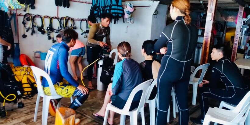 From Cebu City: Scuba Diving with Whale Sharks Trip in Oslob - The whale shark encounter: gentle giants, close and calm