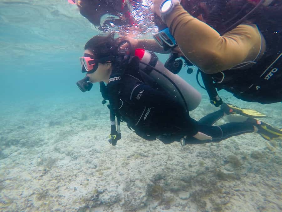 From Cebu City: Scuba Diving with Whale Sharks Trip in Oslob - Safety and the 18-hour no-fly rule