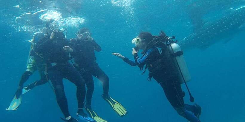 From Cebu City: Scuba Diving with Whale Sharks Trip in Oslob - English instruction is useful, especially if you are new