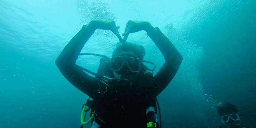 From Cebu City: Scuba Diving with Whale Sharks Trip in Oslob - Price breakdown: why $172 can feel fair, or not