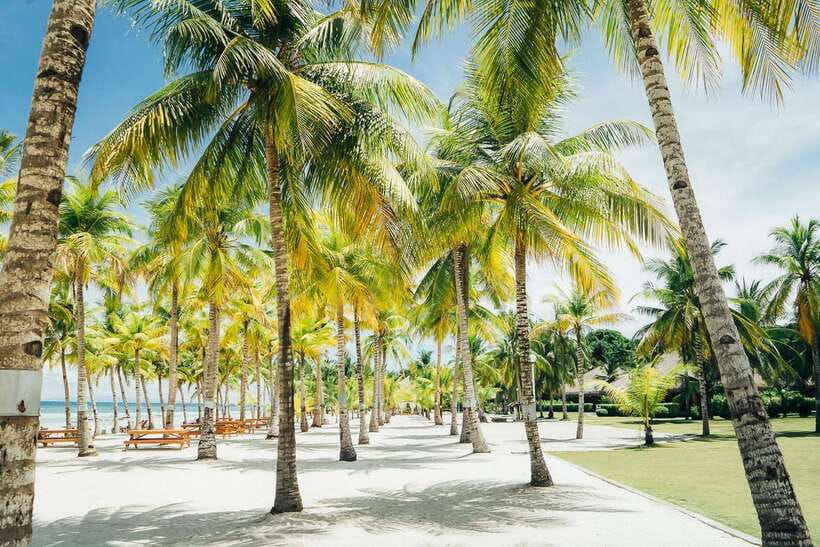 From Cebu: Day Trip to Bohol Highlights - Key Things I’d Bet You’ll Like
