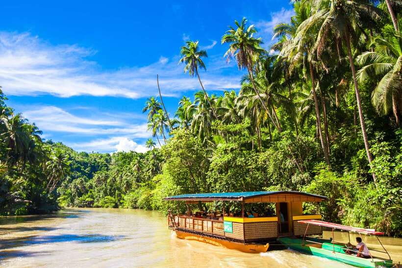 From Cebu: Day Trip to Bohol Highlights - Where the Tour Shines Most, and Who Should Book