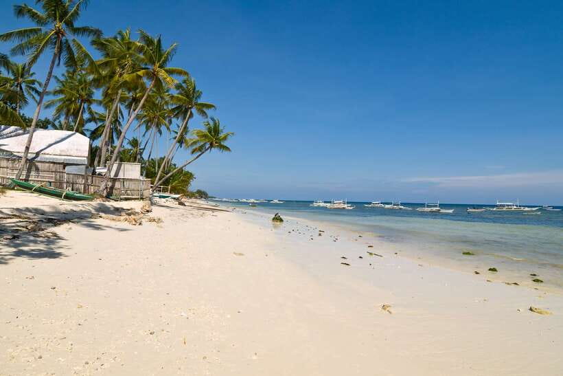 From Cebu: Day Trip to Bohol Highlights - Loboc River Cruise Lunch: The Best Time to Slow Down